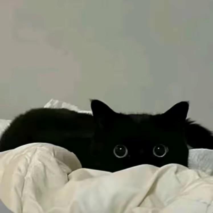 Yོ