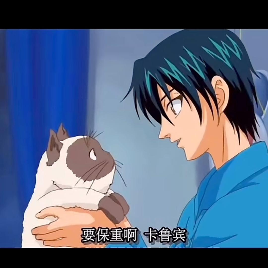 么凹猫~
