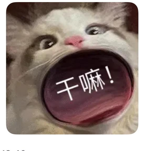 惊鹊南枝