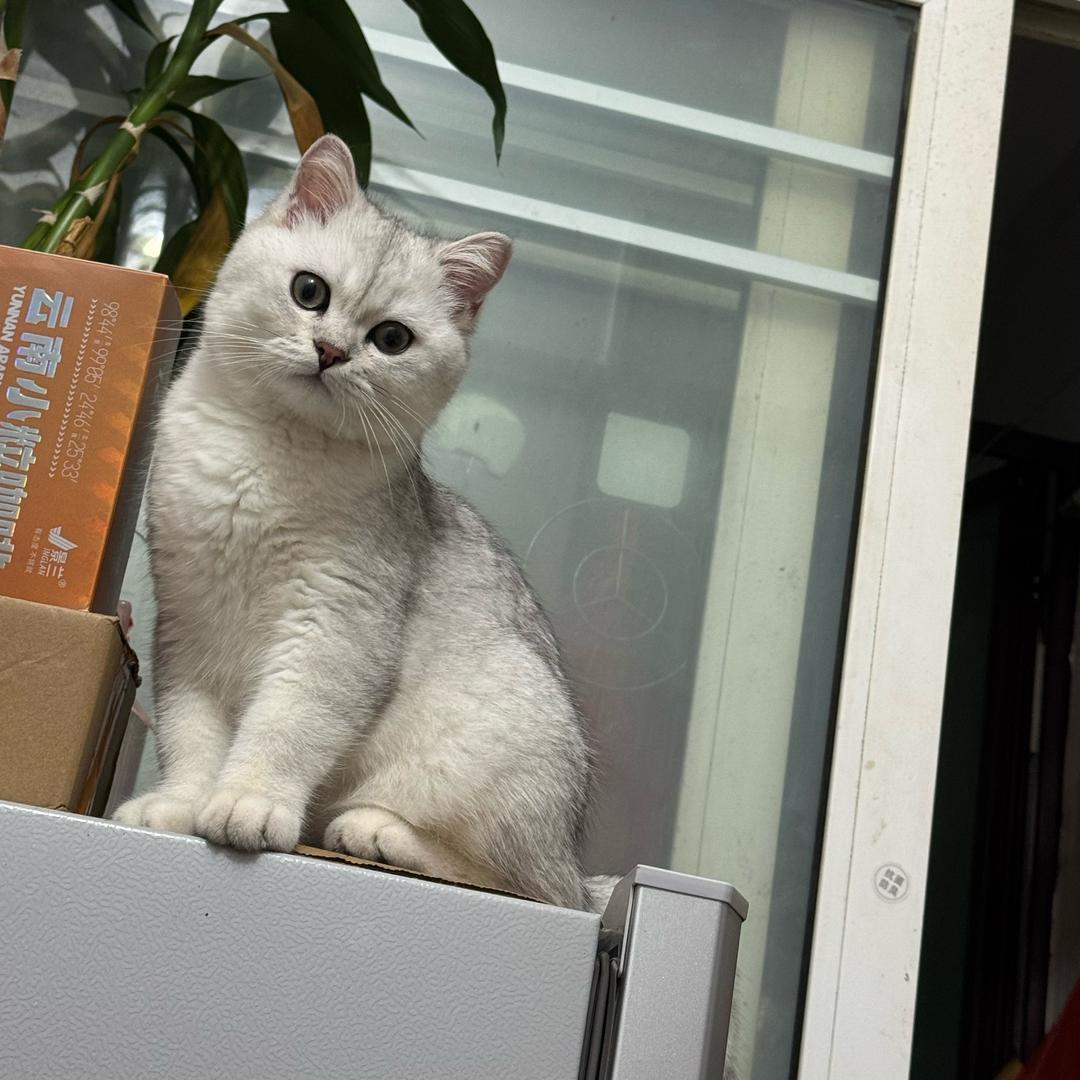 多幸运