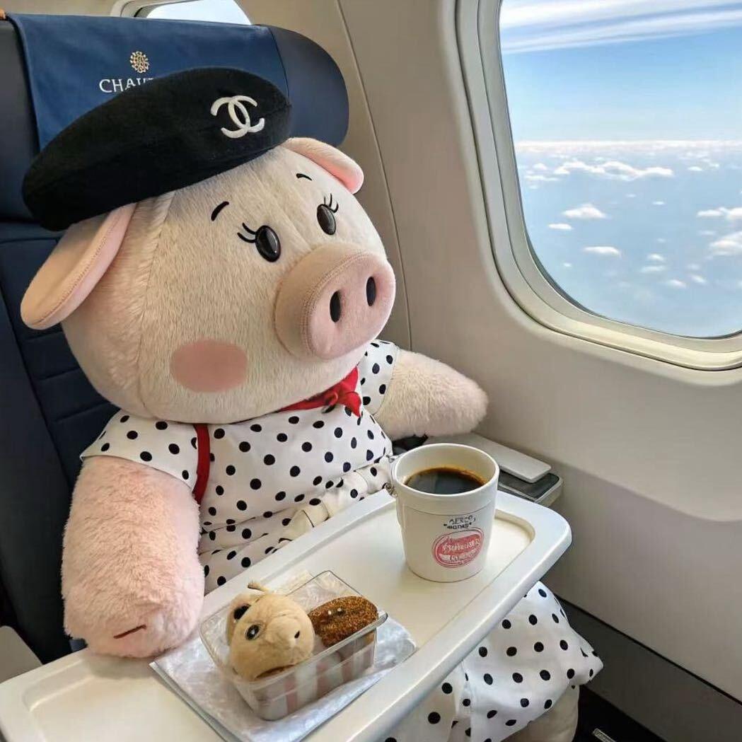 3Y Plus(浮桥大码女装)