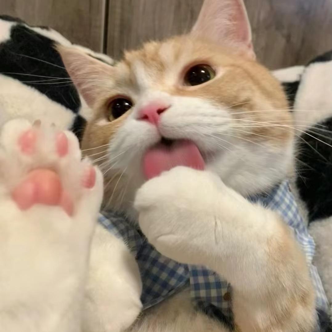¥
