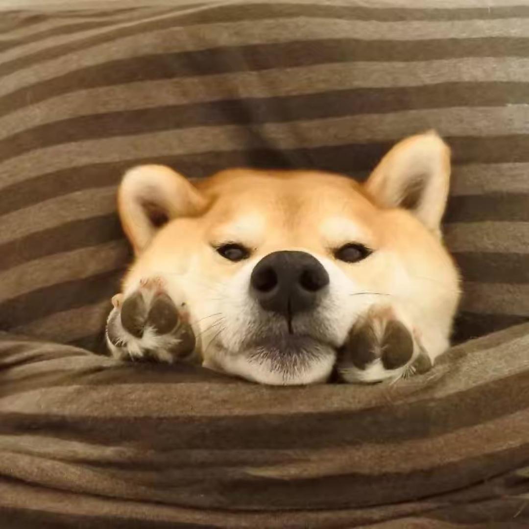 江南村哥