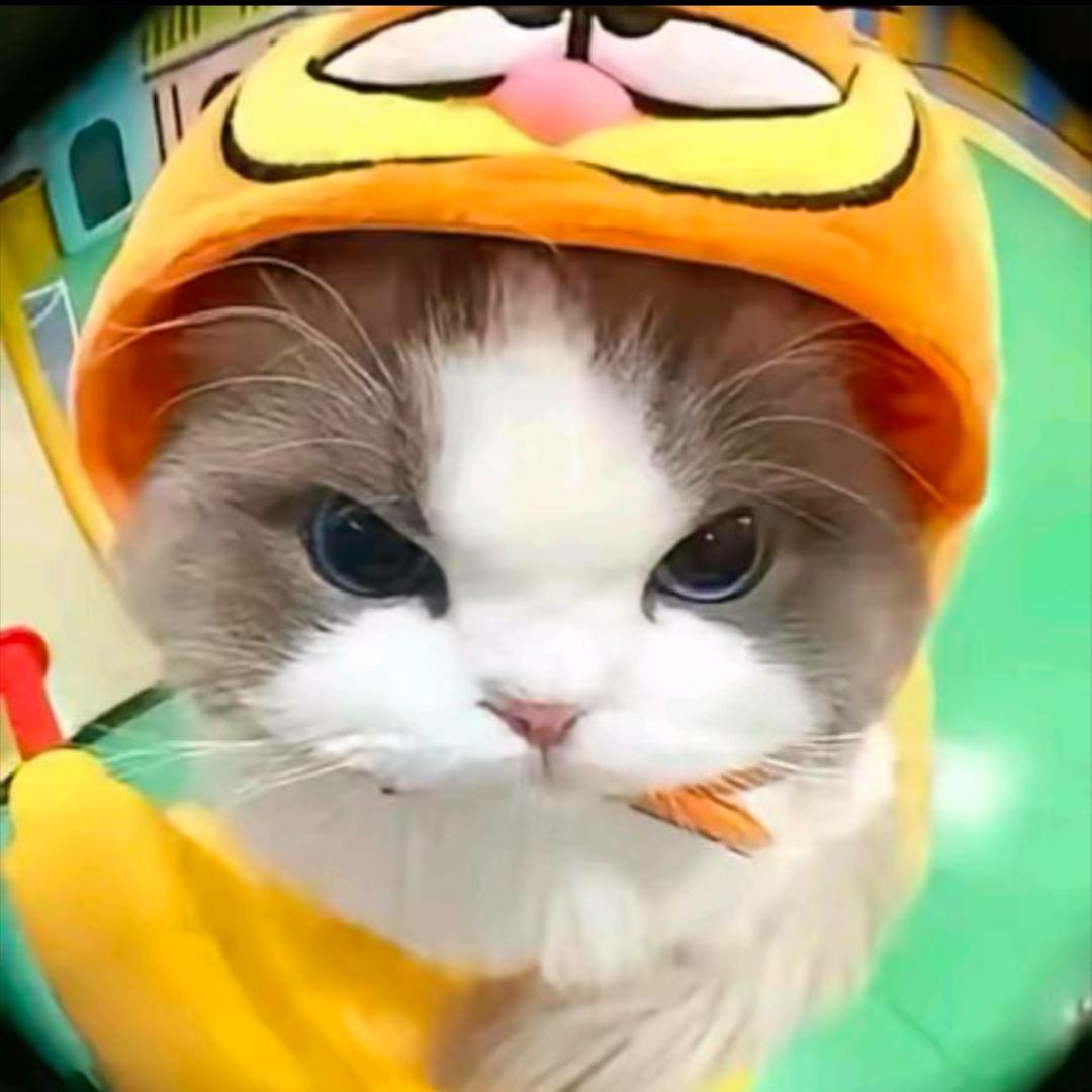 西伯利亚泰坦巨龙生吞亚特兰大迷你性感马喽