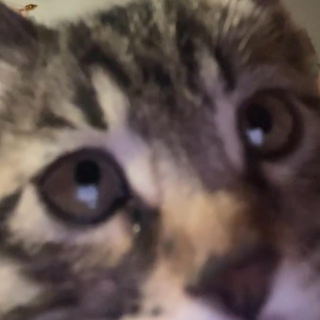 95726