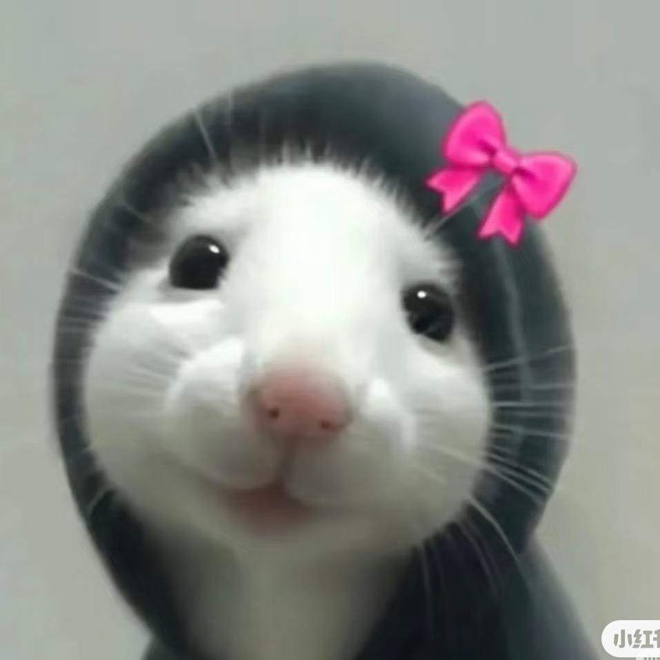 江茳