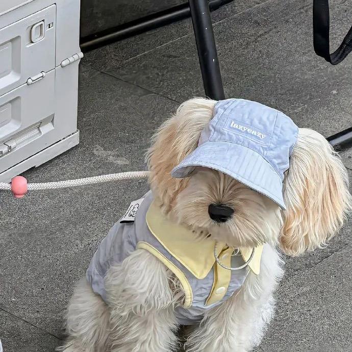 不要打扰我睡觉