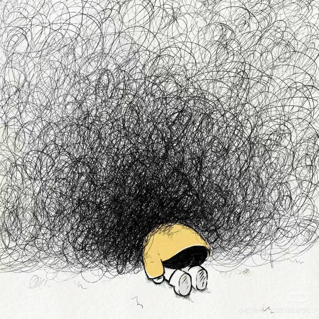 凌晨五点半的猫