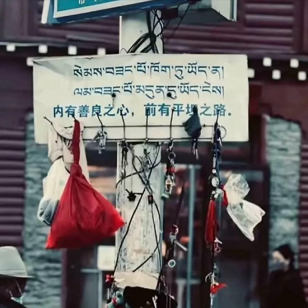 泽仁。  1376。