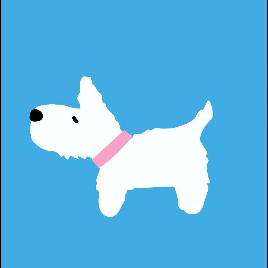 哈尼袜社