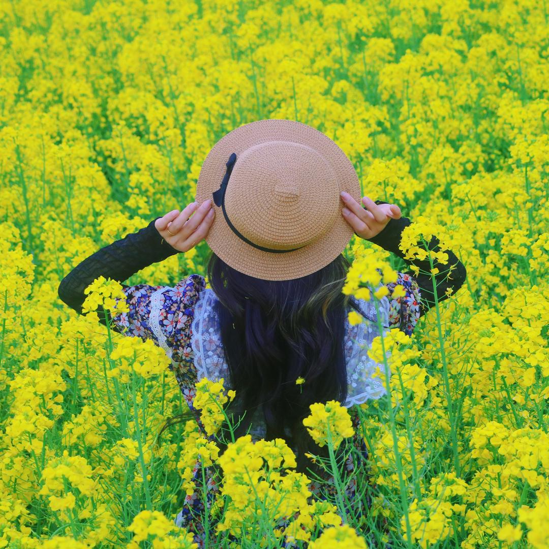 社会你妹姐