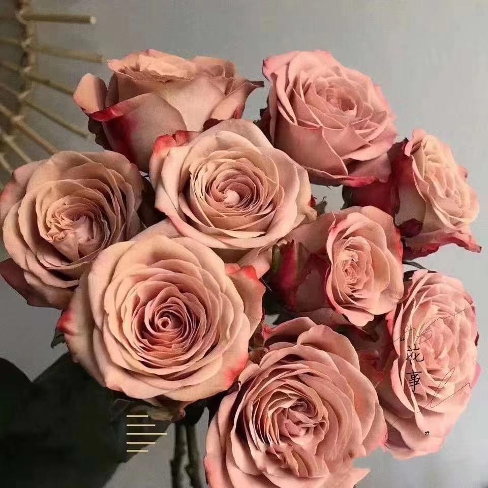 馨雨鲜花