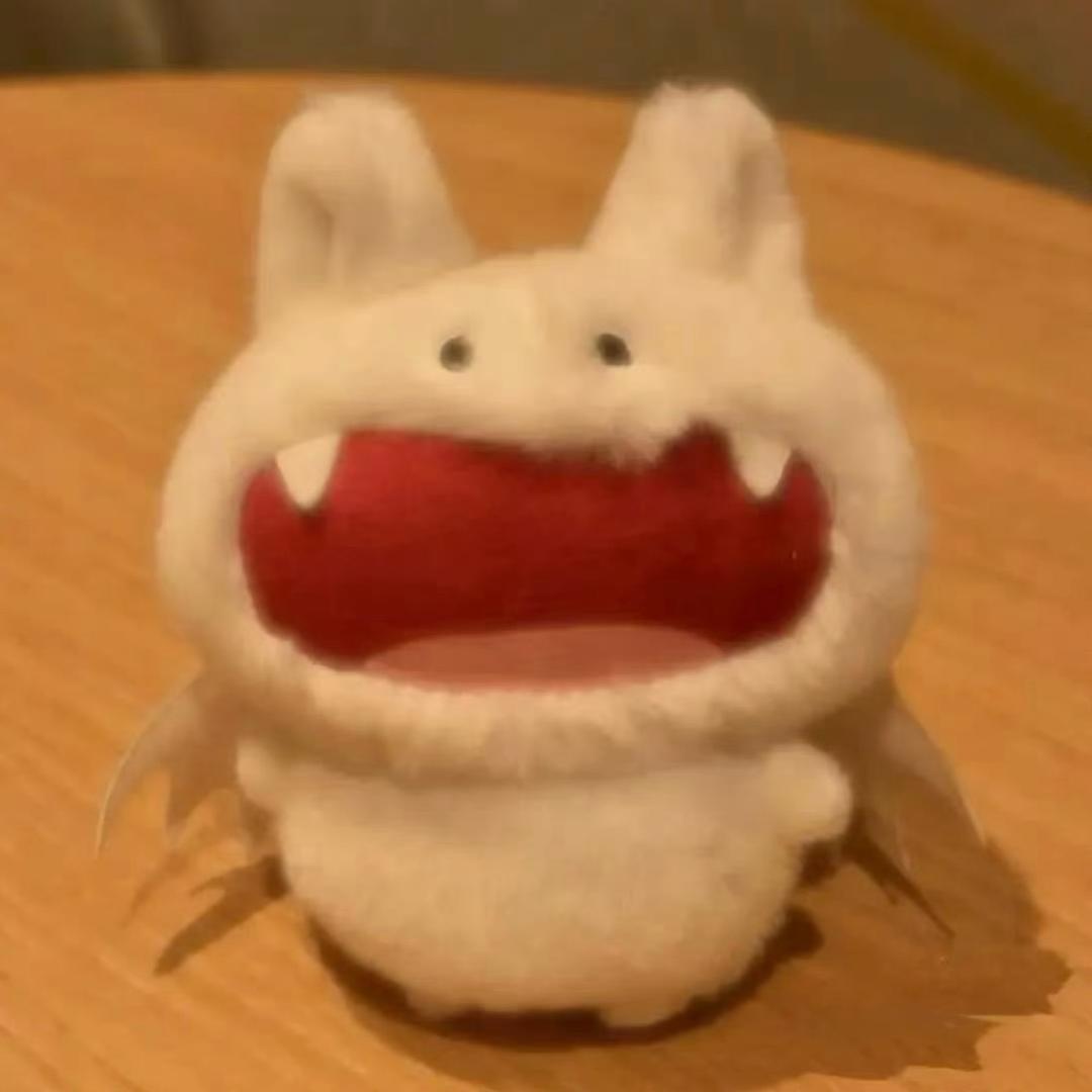 小鲨鱼