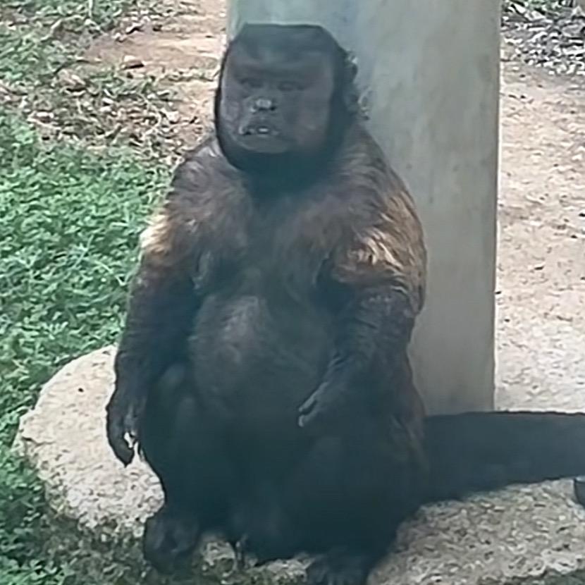 为钓鱼而追风的男人