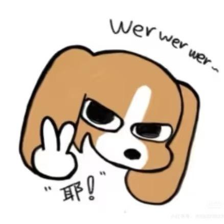 狗狗来咯