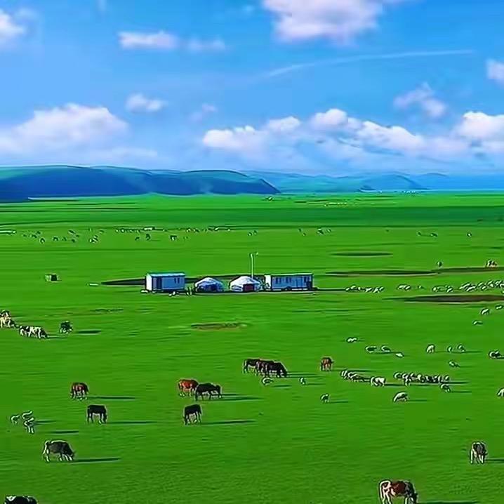 开心☘️🍃果