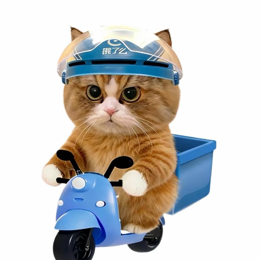 饿了么骑手小笼包