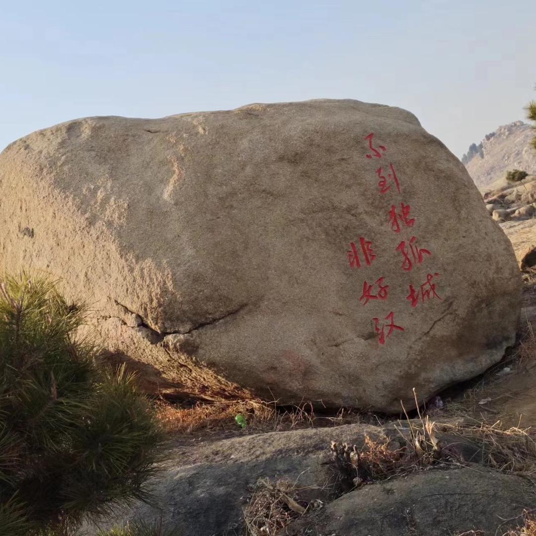 懒洋洋