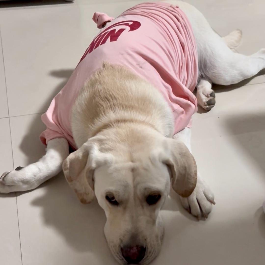 初一不爱吃饭🍚