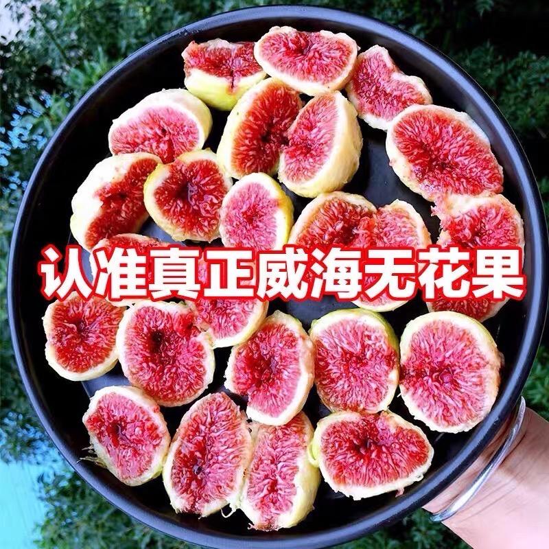 威海助农合作社