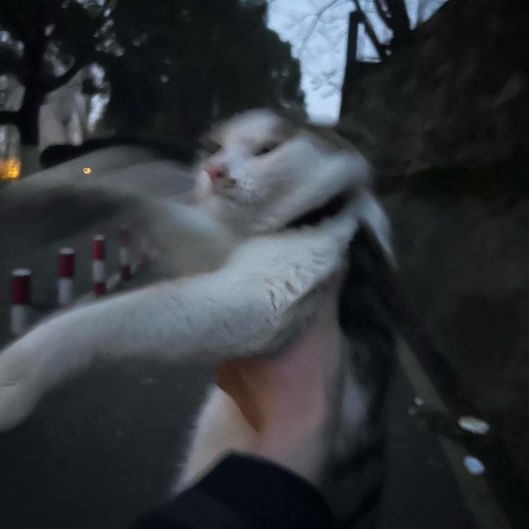 少瑾
