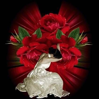 红儿✨《花木兰.鲜花坊》