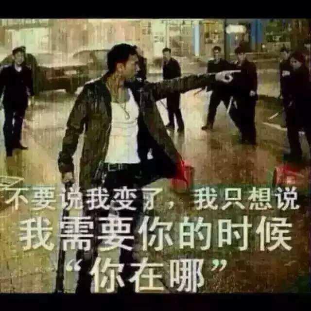 飞龙/