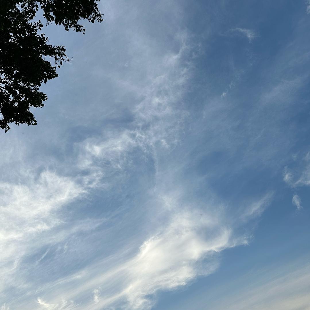 望夏