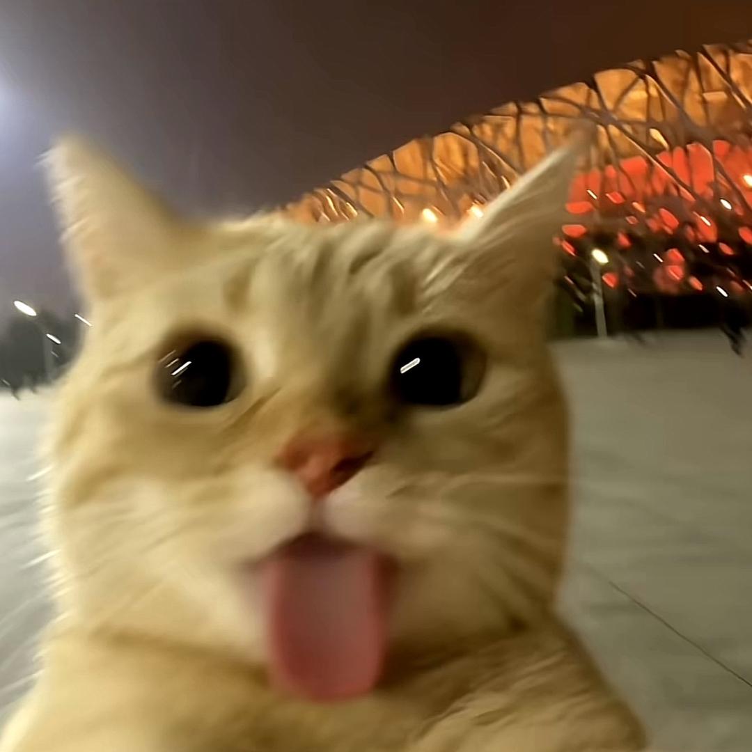 pyyy.