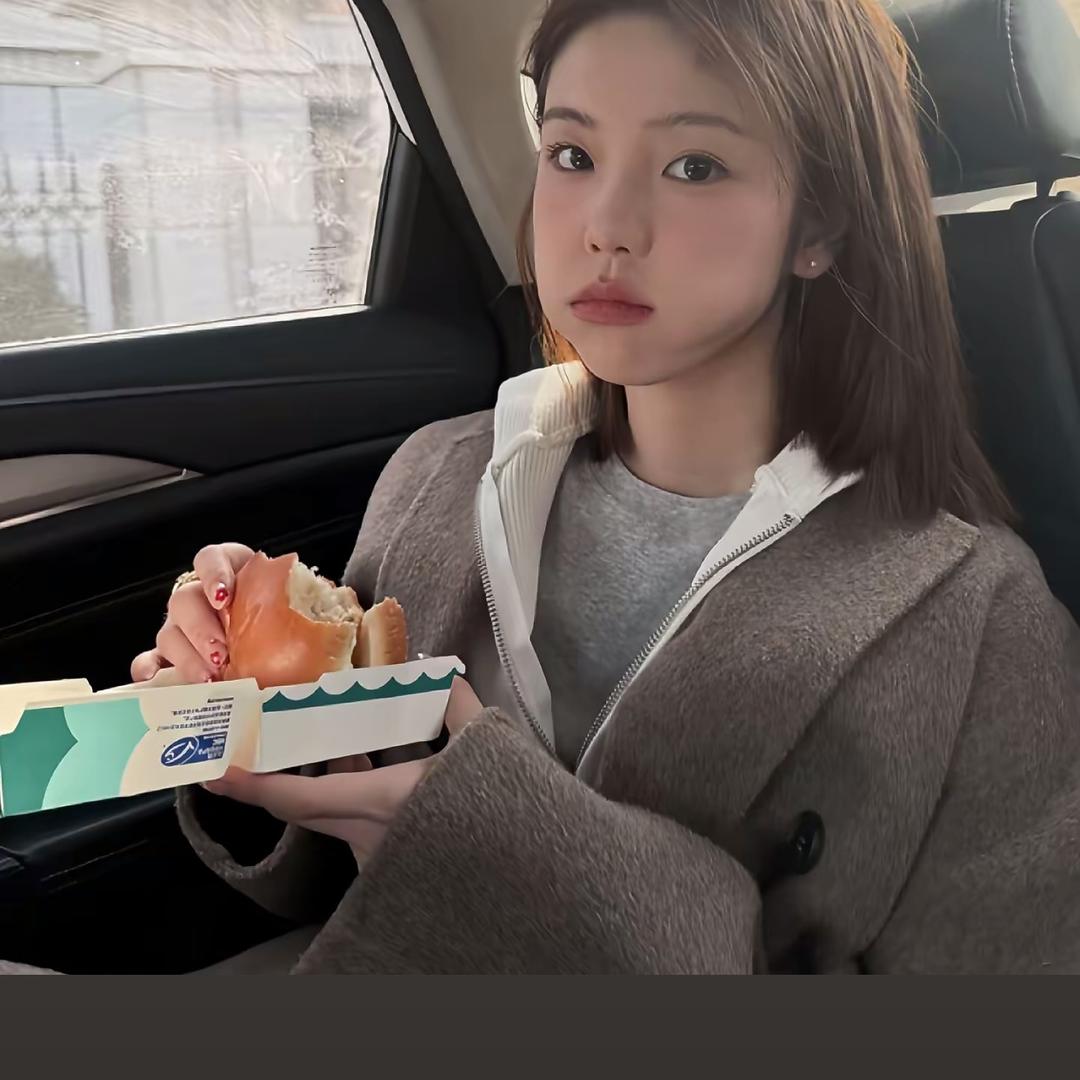 停云.