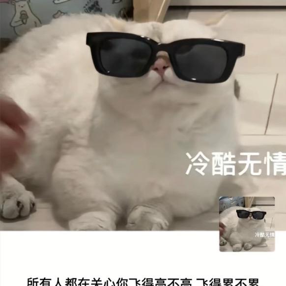 柒七