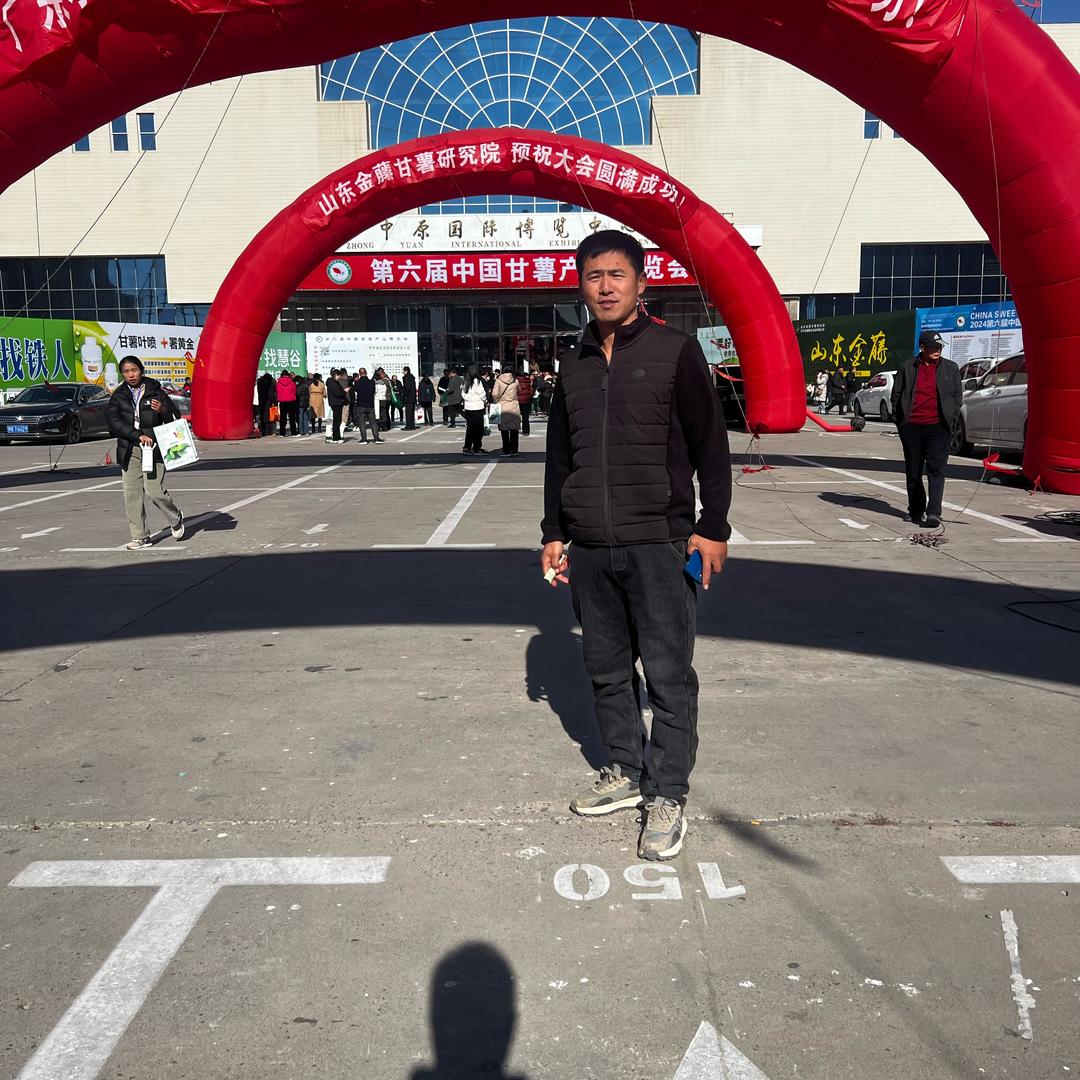 阳仔红薯（砥砺前行)