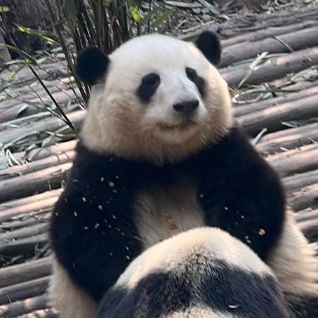 你喜欢动物么