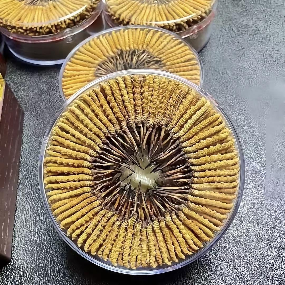 杜材苍原臻稀滋补专卖店