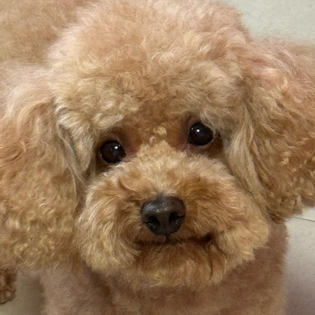 默默默默默默一