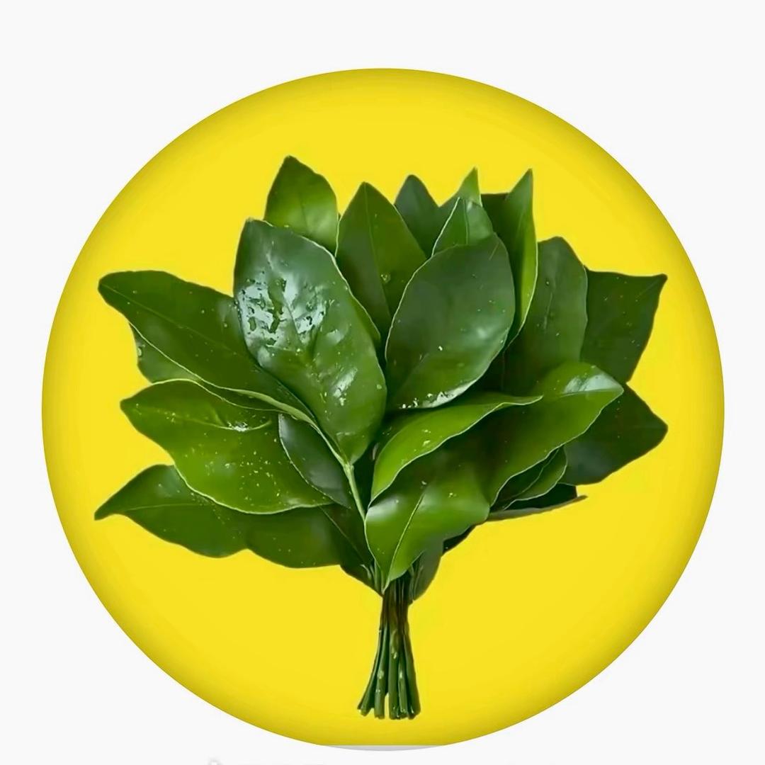 小菲