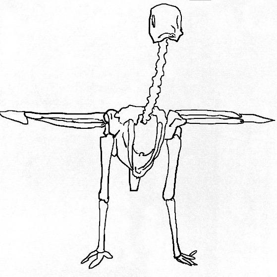 小岛岛主（求推荐）