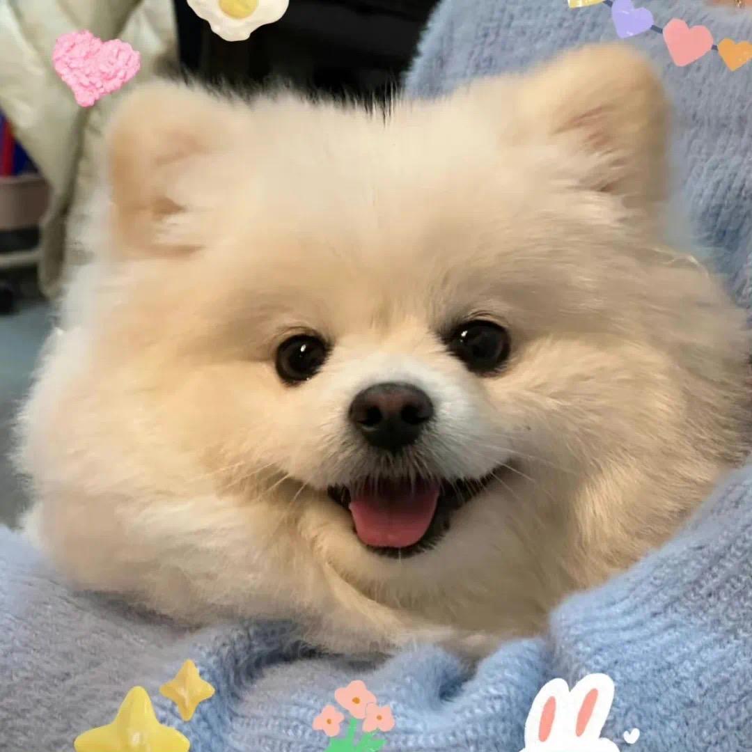 泽锦