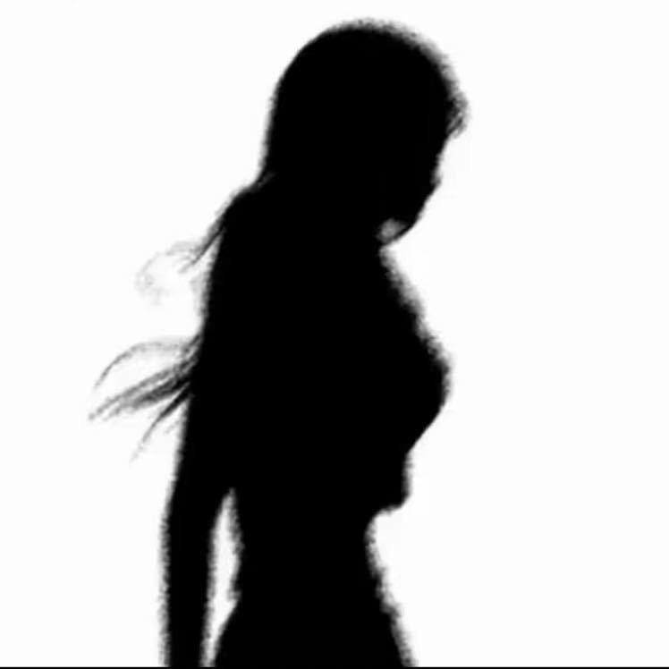 会飞的女朋友