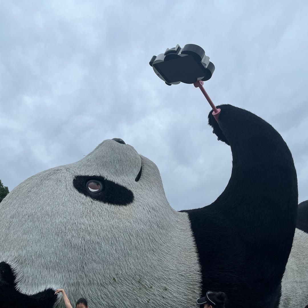 皮皮哥