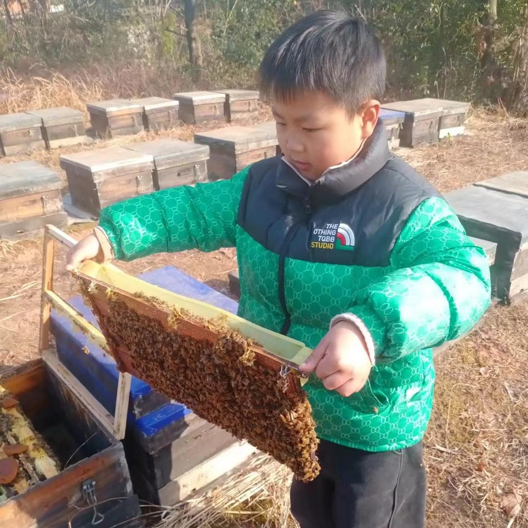 小斌自家养纯原蜜