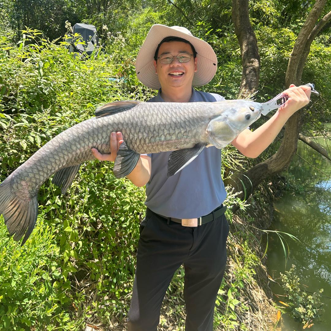 阿文爱喂鱼🎣