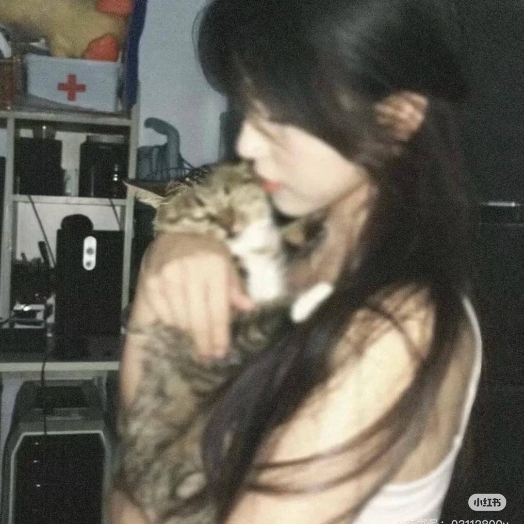 懒猫