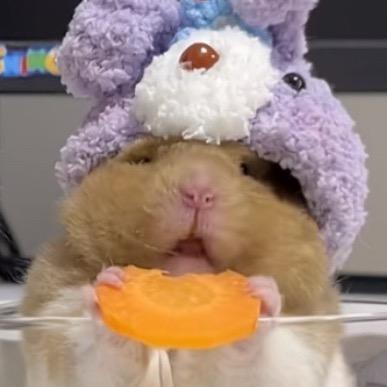 听我唱歌不准跑
