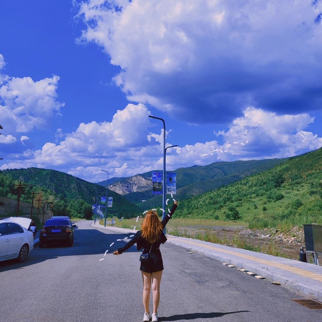 🌻_Sunflower
