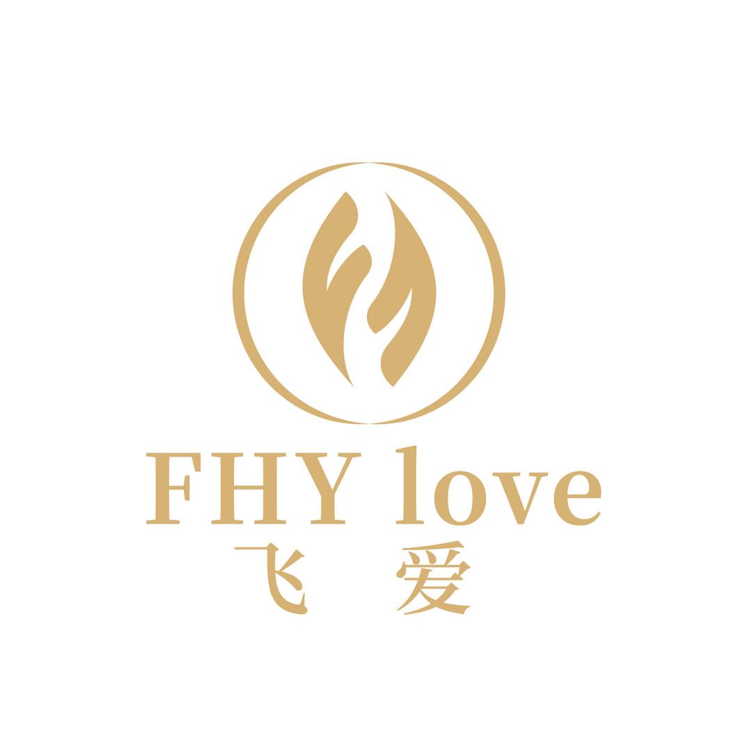 FHYlove飞爱