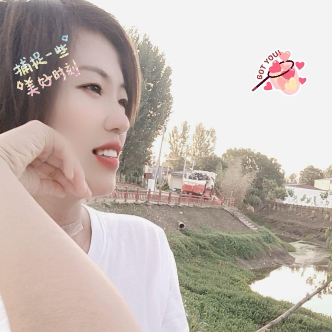 丹丹