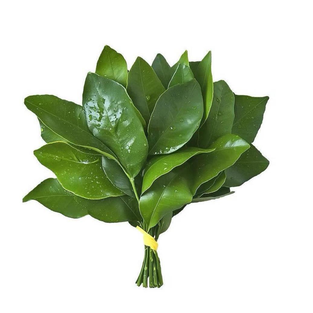 ¿¿¿¿¿