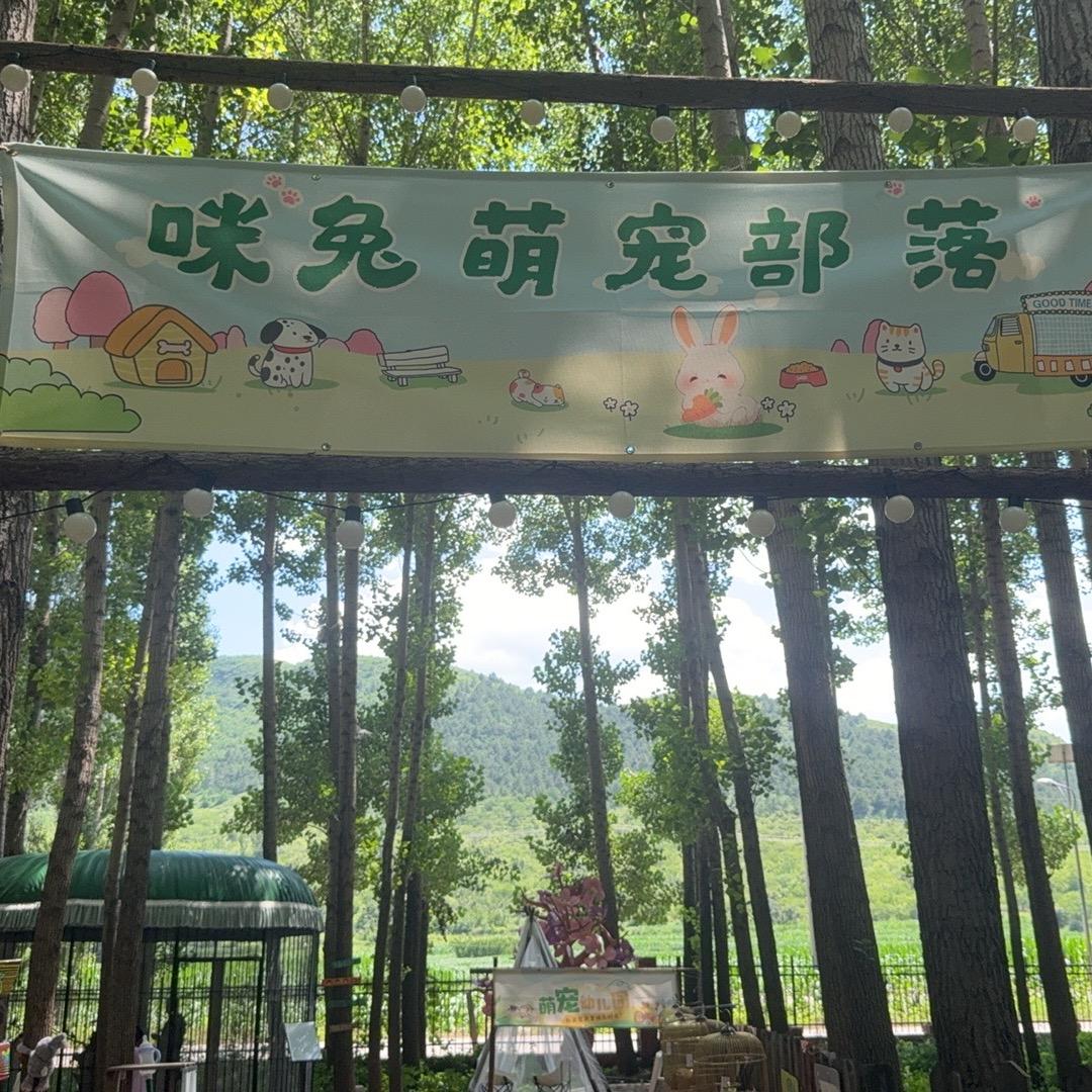 黄金戴河水上乐园