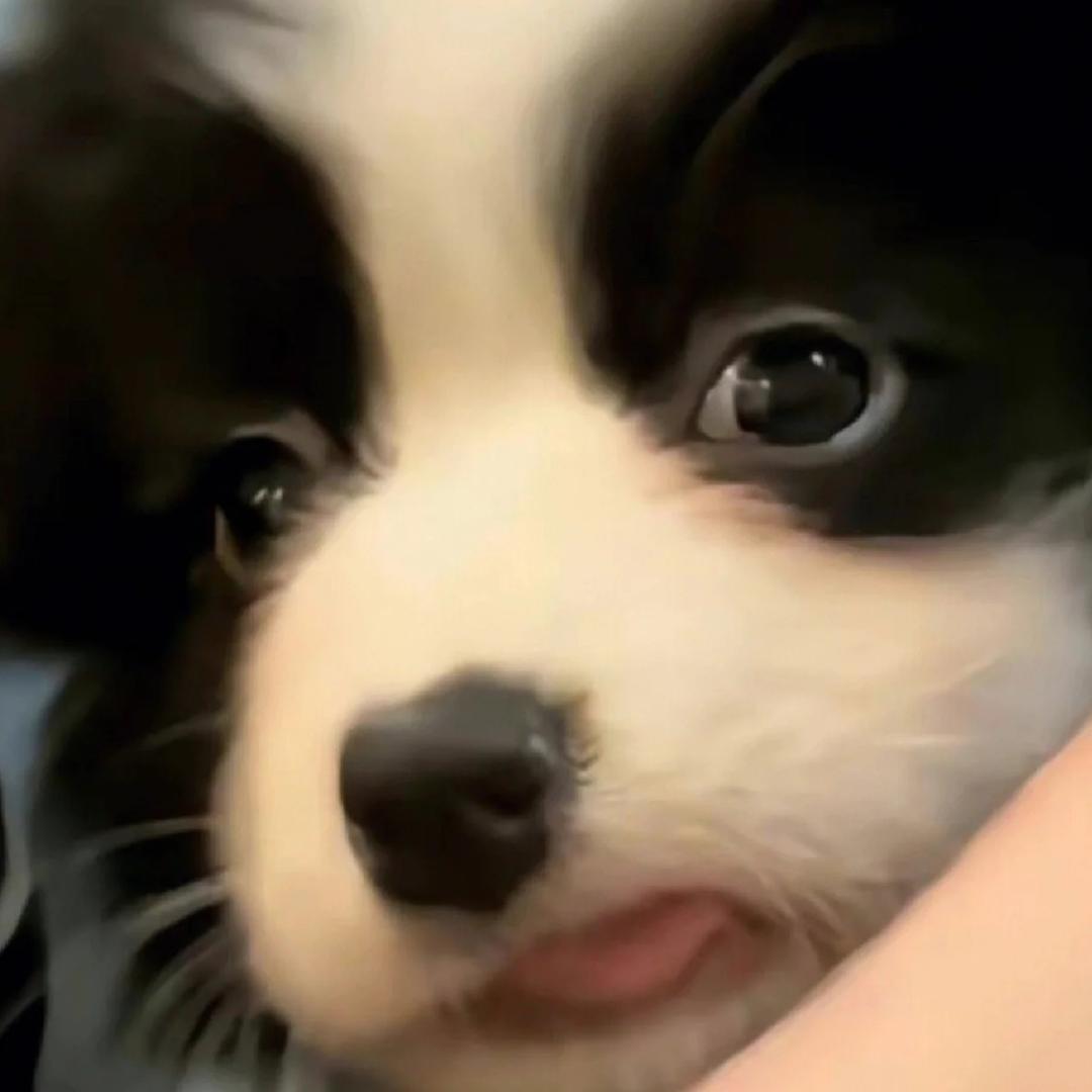 ChanLee